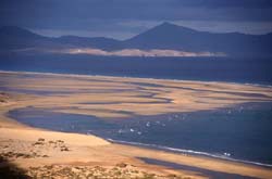 Playa de Sotavento - FKK Strand auf Fuerteventura